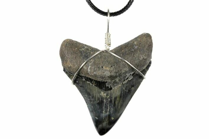 Fossil Megalodon Tooth Necklace #130952